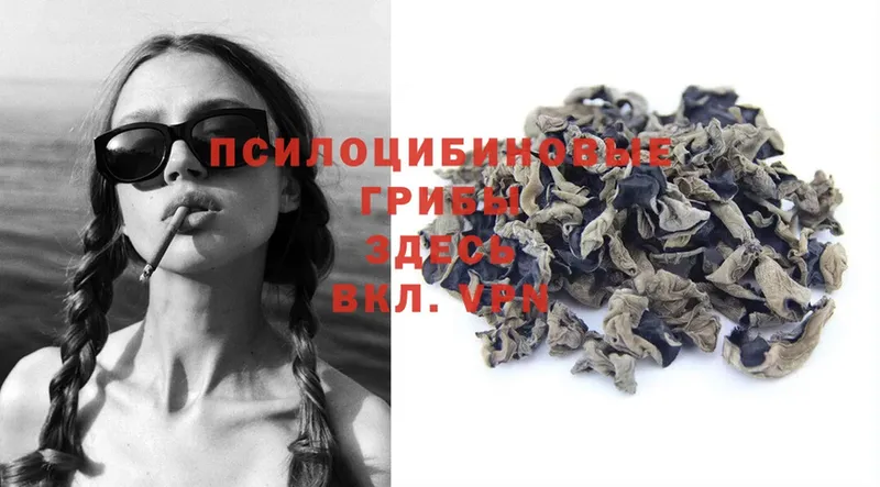 Псилоцибиновые грибы Magic Shrooms  Кашира 